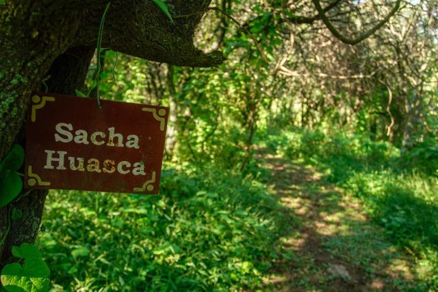 Bosque autóctono y Senderos serranos