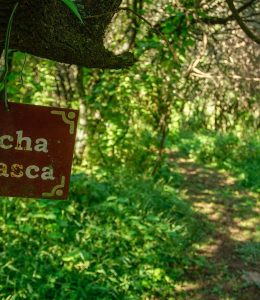 Bosque autóctono y Senderos serranos