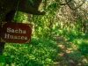 Bosque autóctono y Senderos serranos